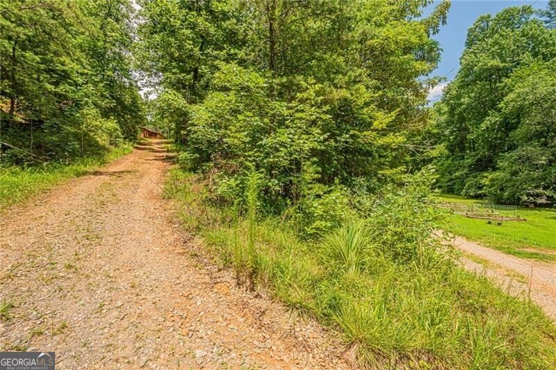 731 Jim Anderson Road Dahlonega - Photo 62