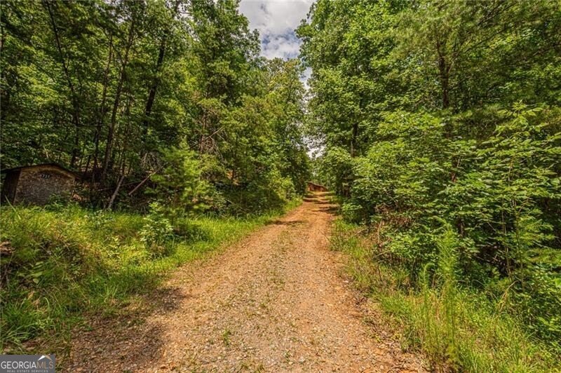 731 Jim Anderson Road Dahlonega - Photo 63
