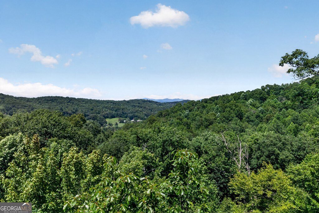 573 Weaver Creek Way Blue Ridge - Photo 27