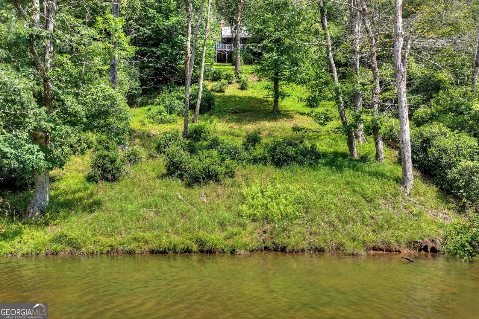 160 Adams Circle Mineral Bluff - Photo 54