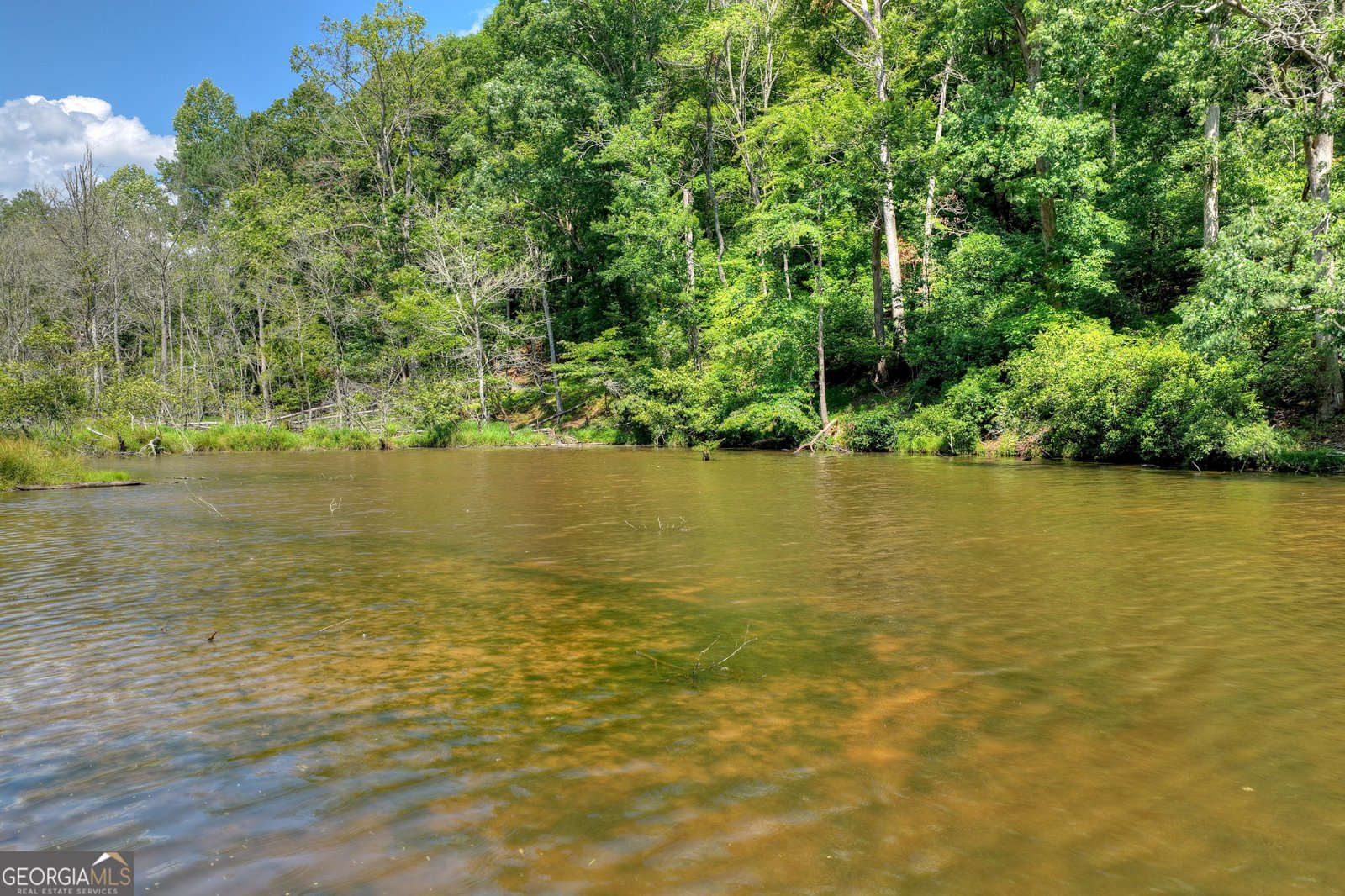 160 Adams Circle Mineral Bluff - Photo 57