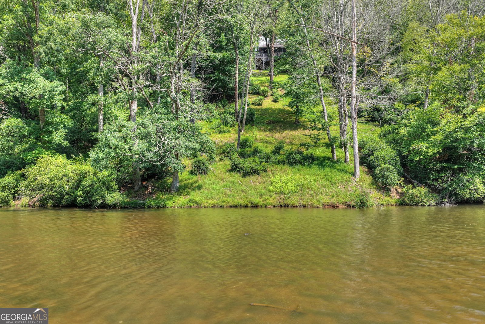 160 Adams Circle Mineral Bluff - Photo 58