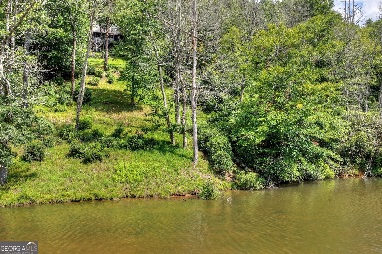 160 Adams Circle Mineral Bluff - Photo 59