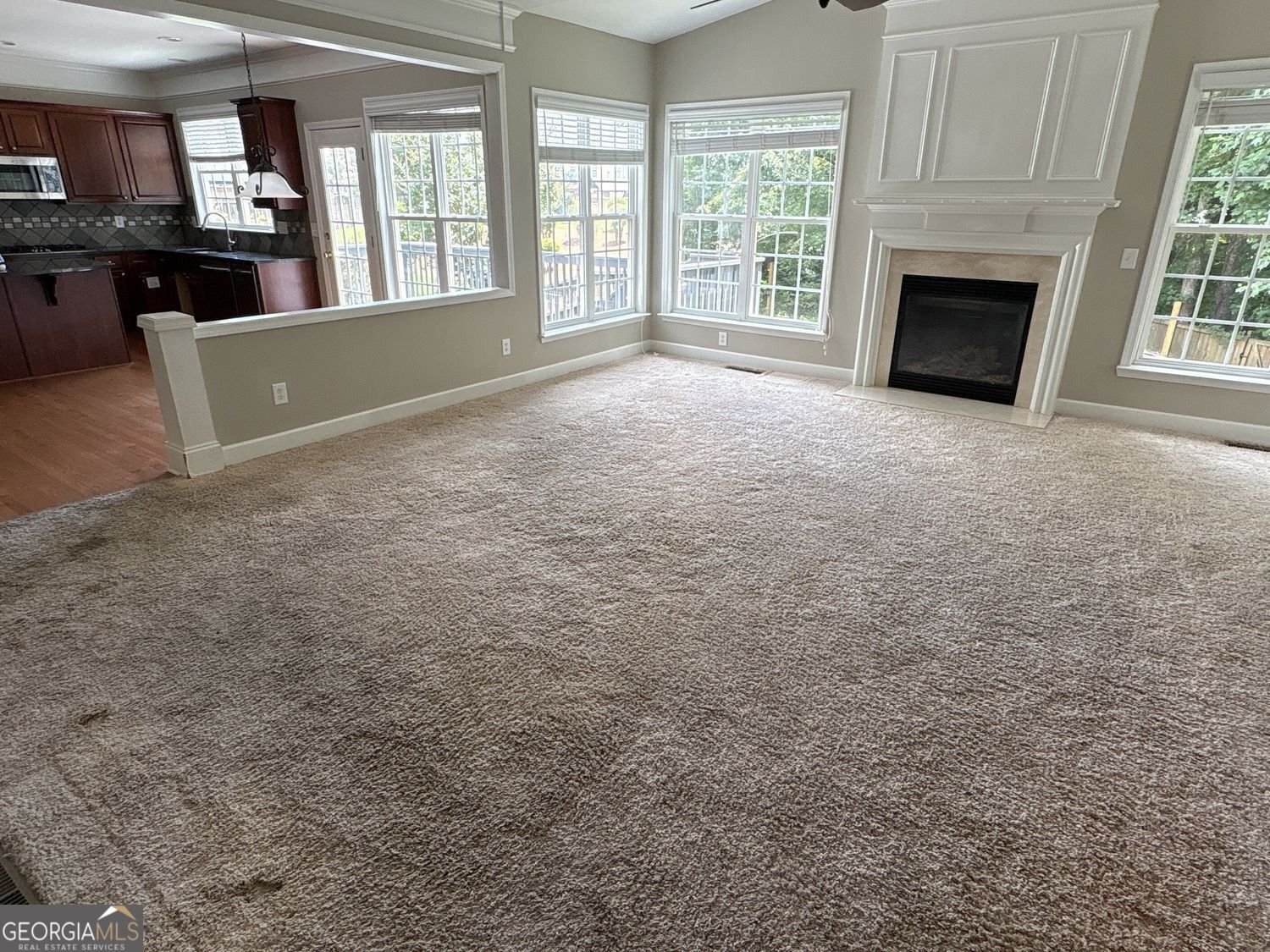 315 Harmony Lake Drive Canton - Photo 6
