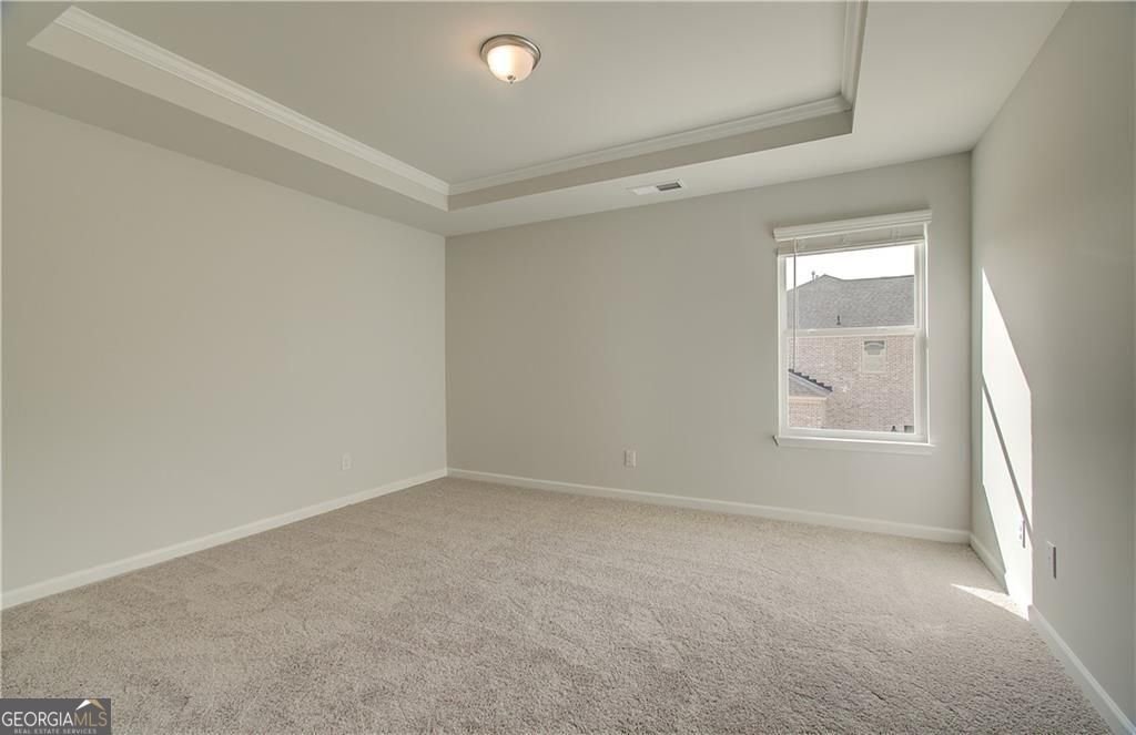 301 Delta Drive McDonough - Photo 42