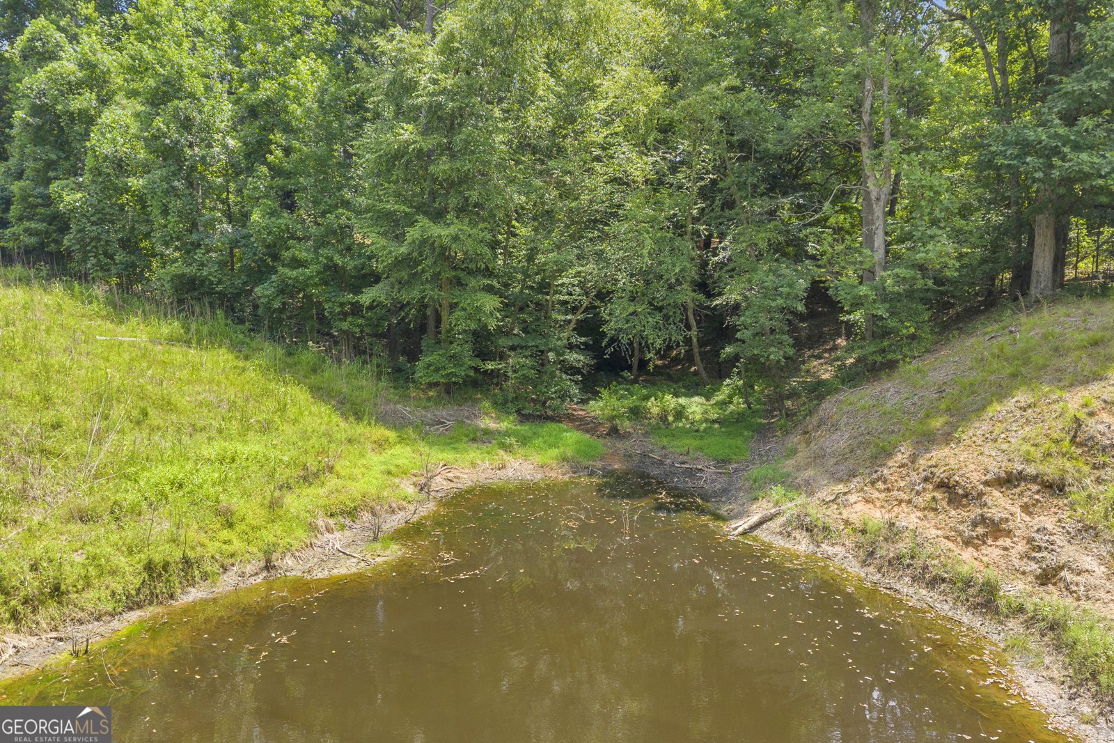 1245 Beechwood Drive Elberton - Photo 36