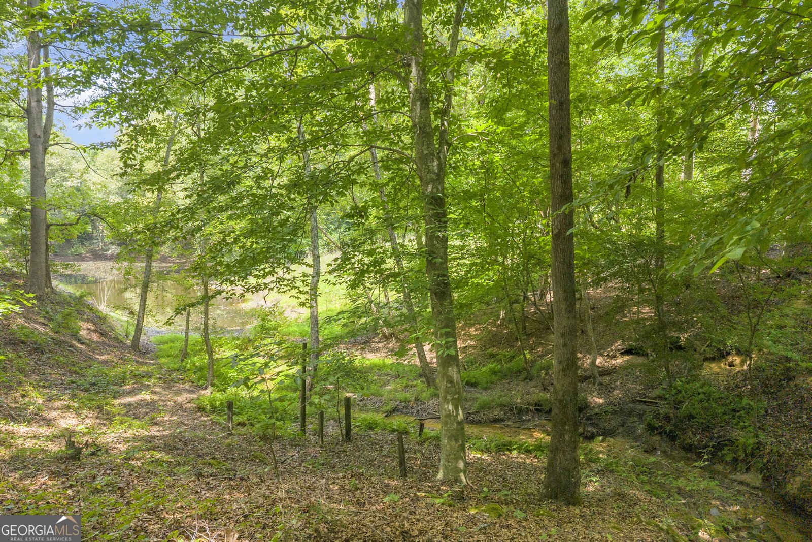 1245 Beechwood Drive Elberton - Photo 37