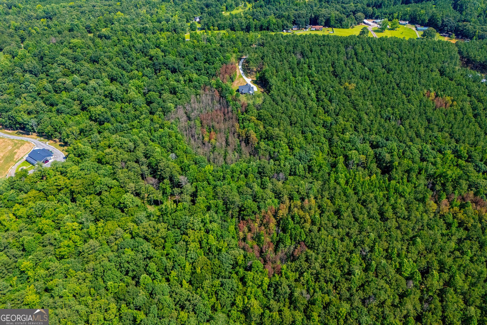 1800 Hutcheson Ferry Road Whitesburg - Photo 96