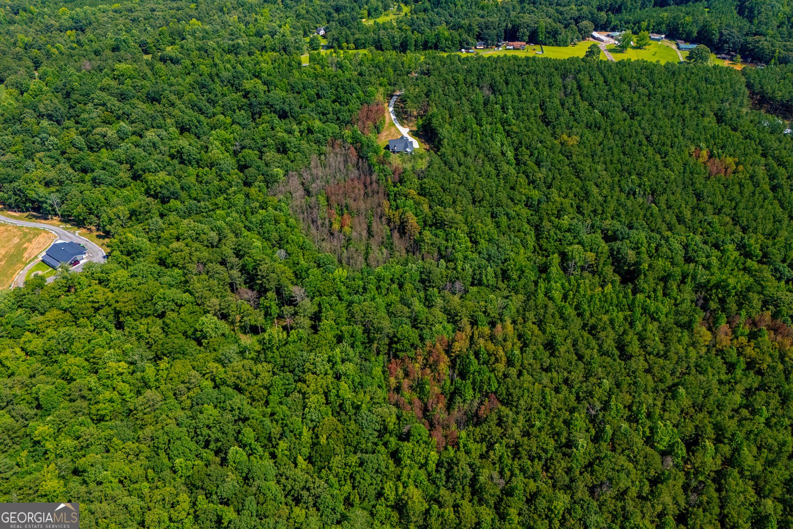 1800 Hutcheson Ferry Road Whitesburg - Photo 97