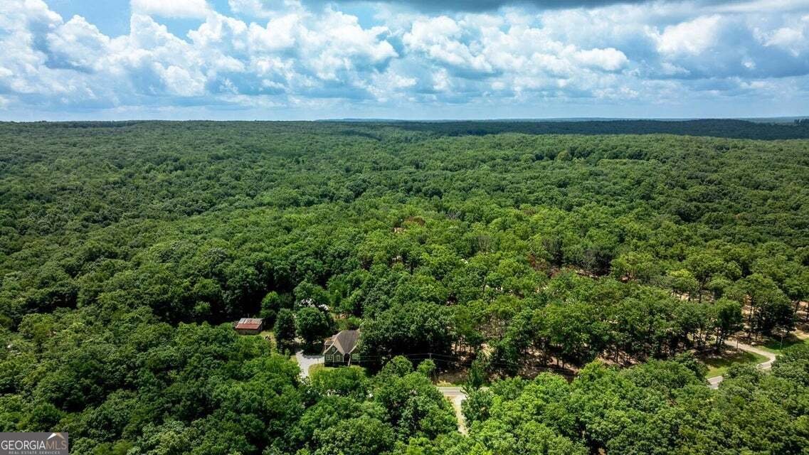 1390 Tatum Gulf Road Cloudland - Photo 42