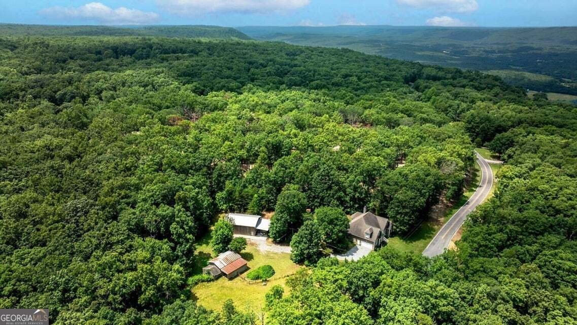 1390 Tatum Gulf Road Cloudland - Photo 46