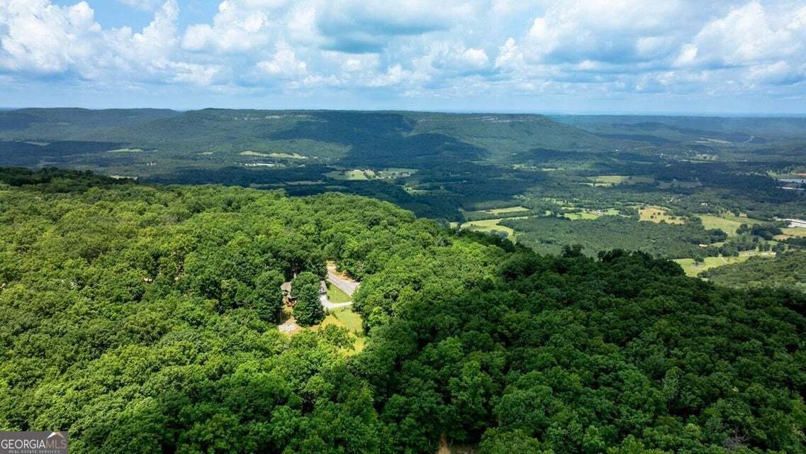 1390 Tatum Gulf Road Cloudland - Photo 47
