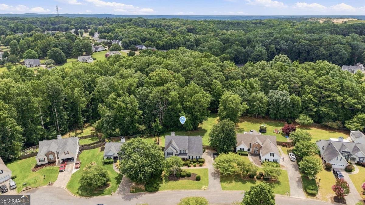 6356 Wilmington Way Flowery Branch - Photo 43