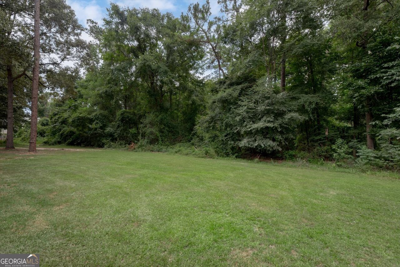 214 Forest Mill Drive Warner Robins - Photo 47
