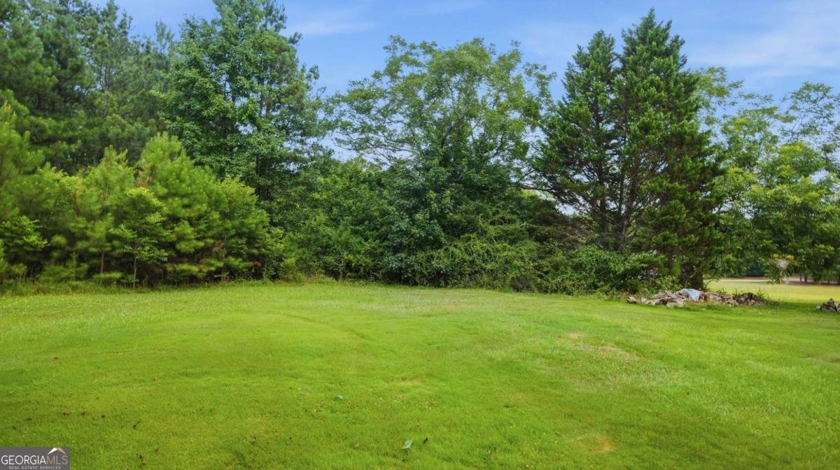 523 Wynn Road Mcdonough - Photo 32