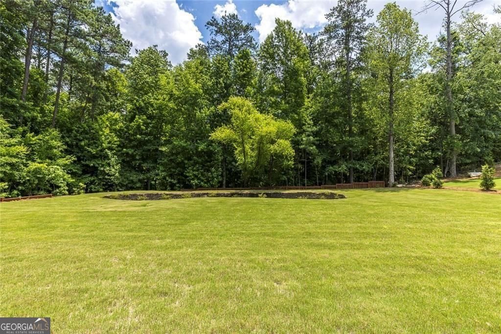 10765 Shallowford Road Roswell - Photo 84