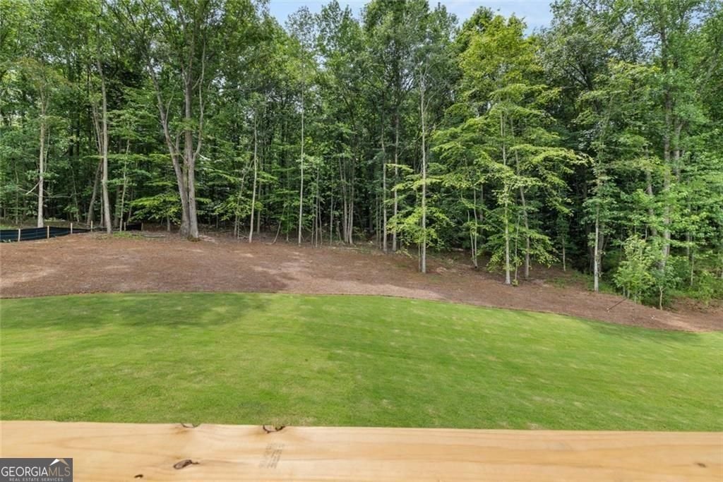 8350 Creekside Overlook Drive Gainesville - Photo 19