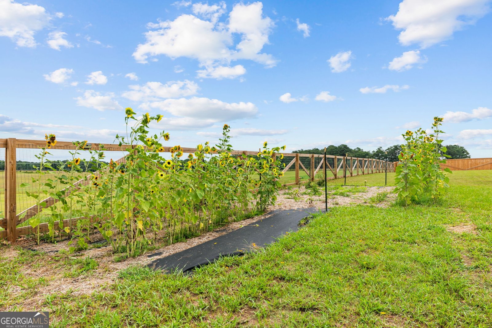 1482 Alcovy Station Road Covington - Photo 38