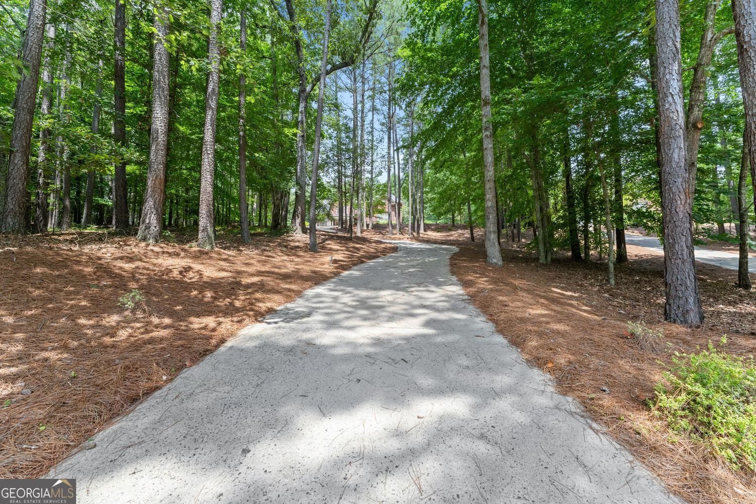 110 Smith Forest Lane Alpharetta - Photo 6
