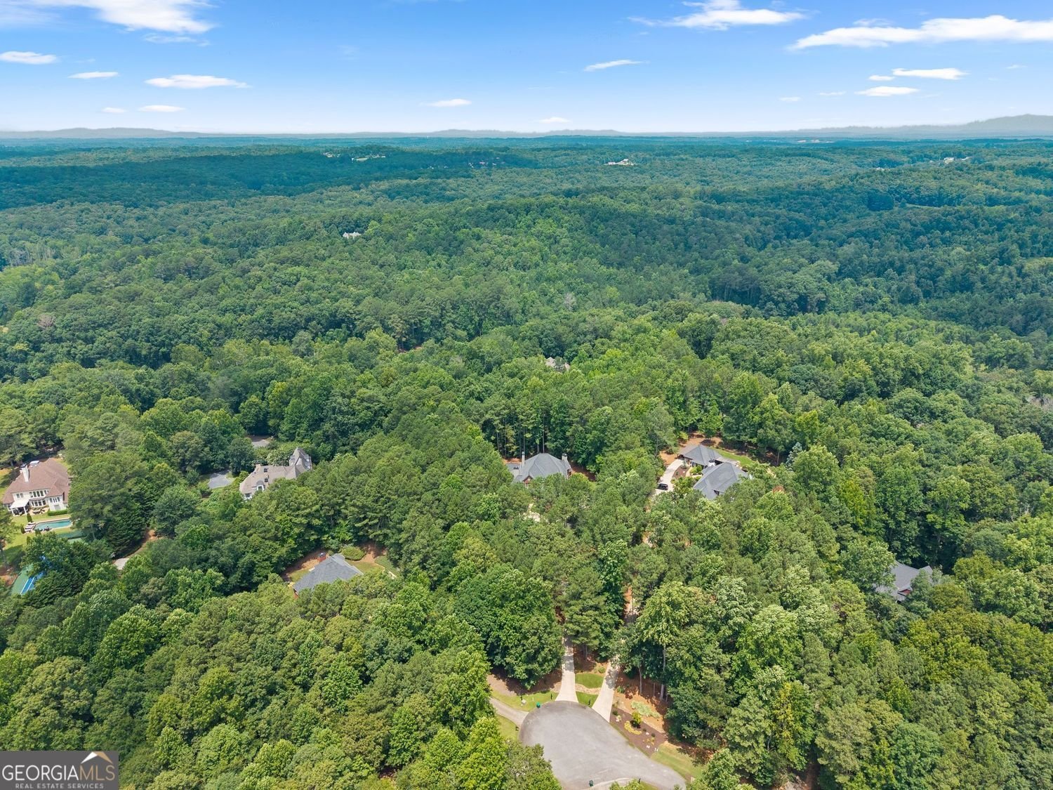 110 Smith Forest Lane Alpharetta - Photo 96
