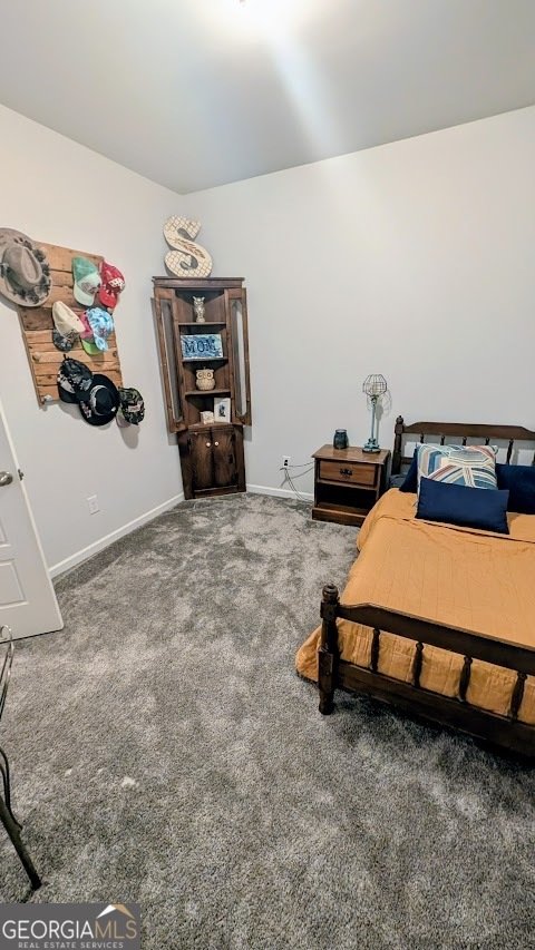 5927 Belafonte Walk Gainesville - Photo 27