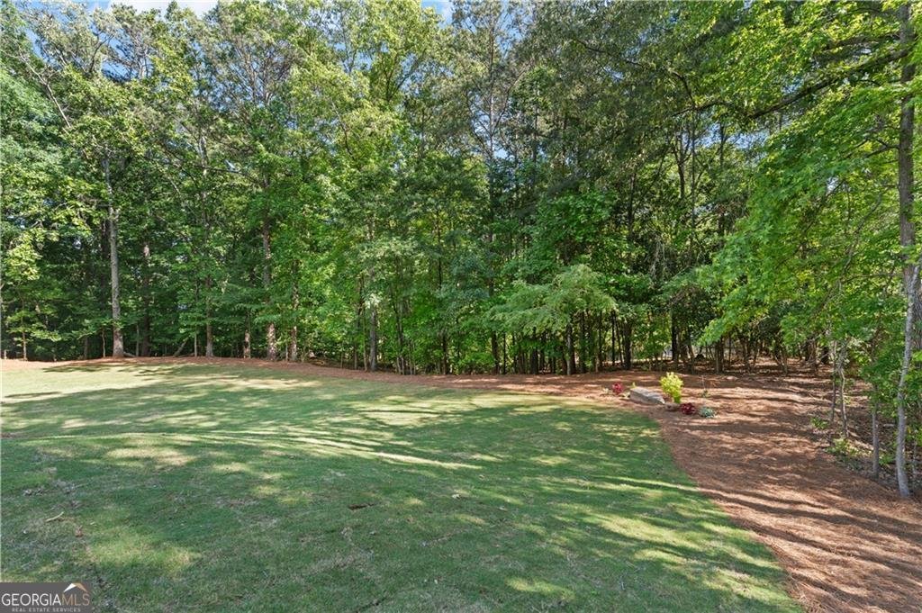 4032 Wesley Chapel Road Marietta - Photo 44