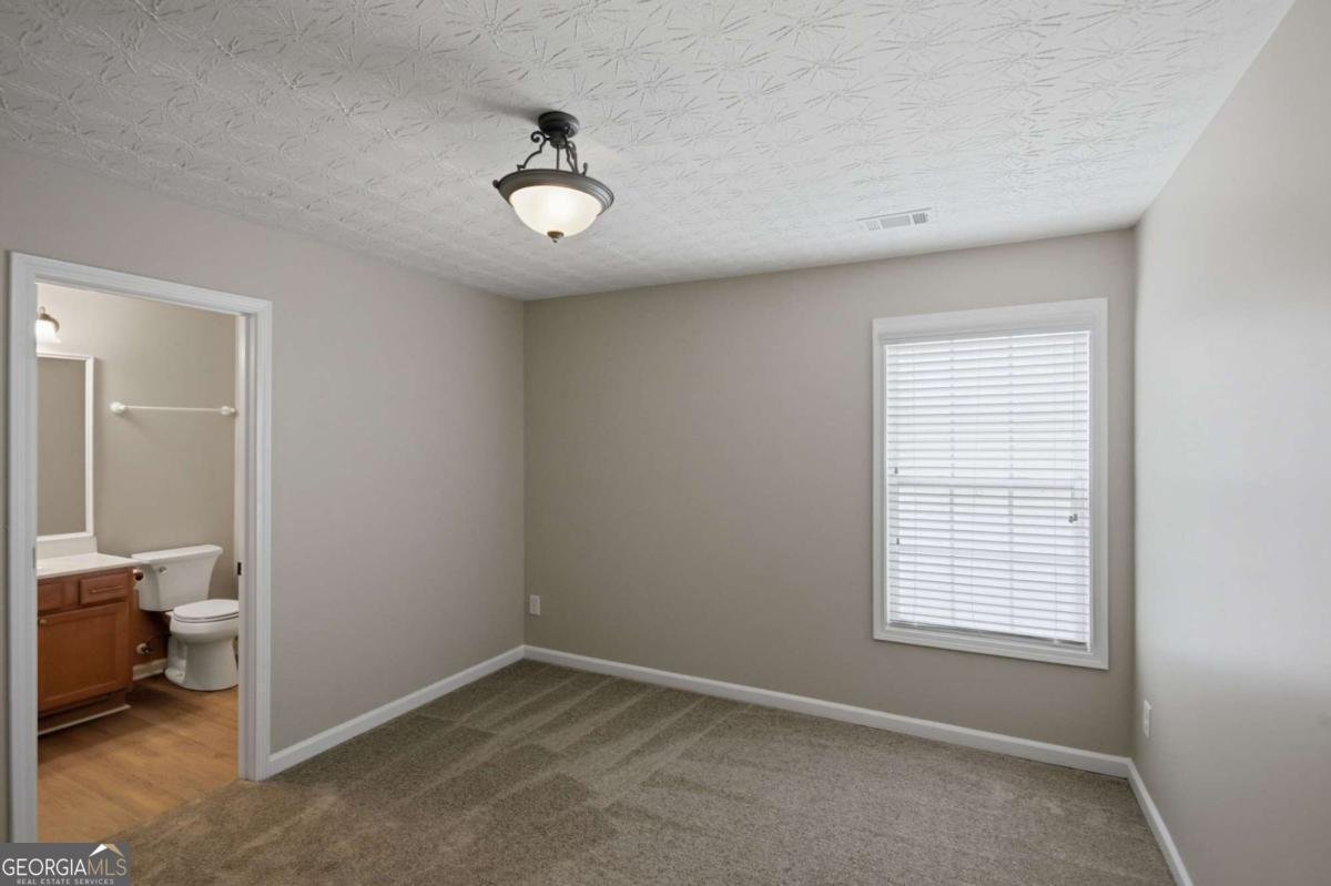 6799 Island Pointe Drive Buford - Photo 20