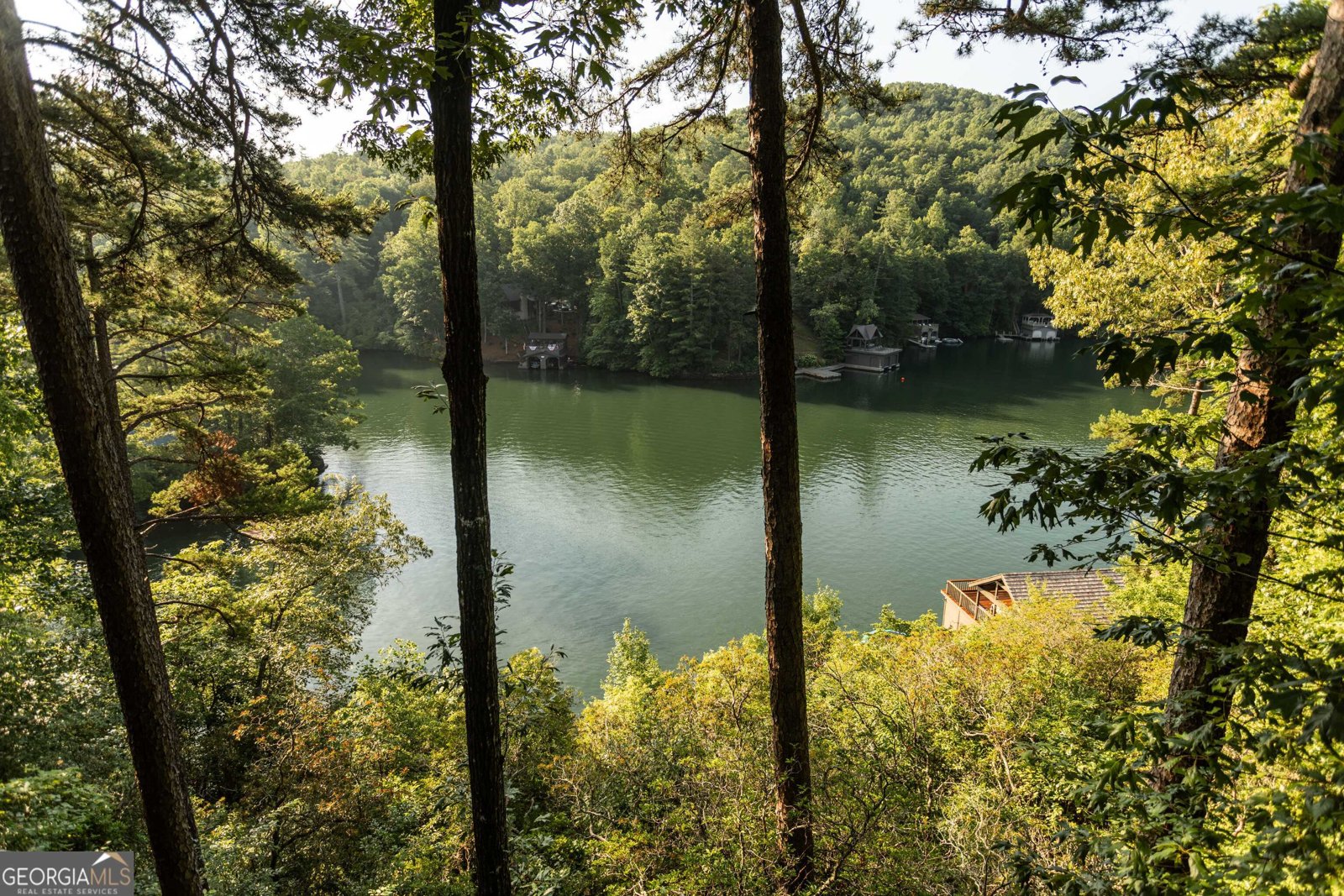 1723 Wildcat Road Clarkesville - Photo 39