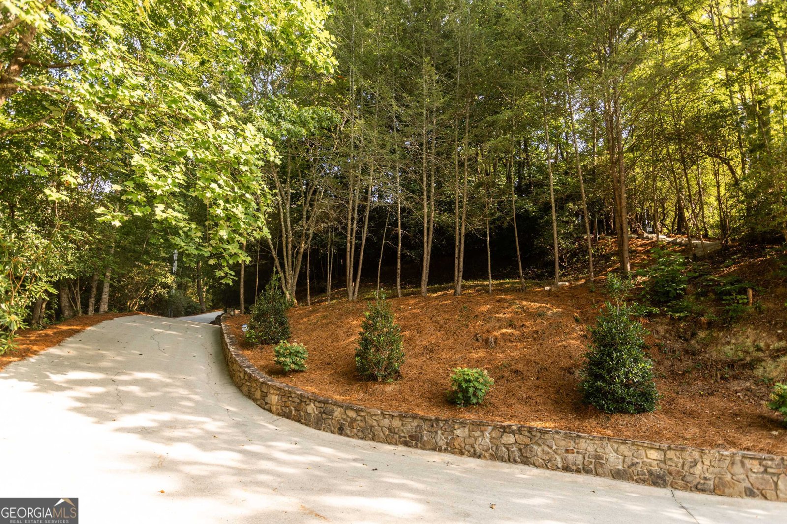1723 Wildcat Road Clarkesville - Photo 63