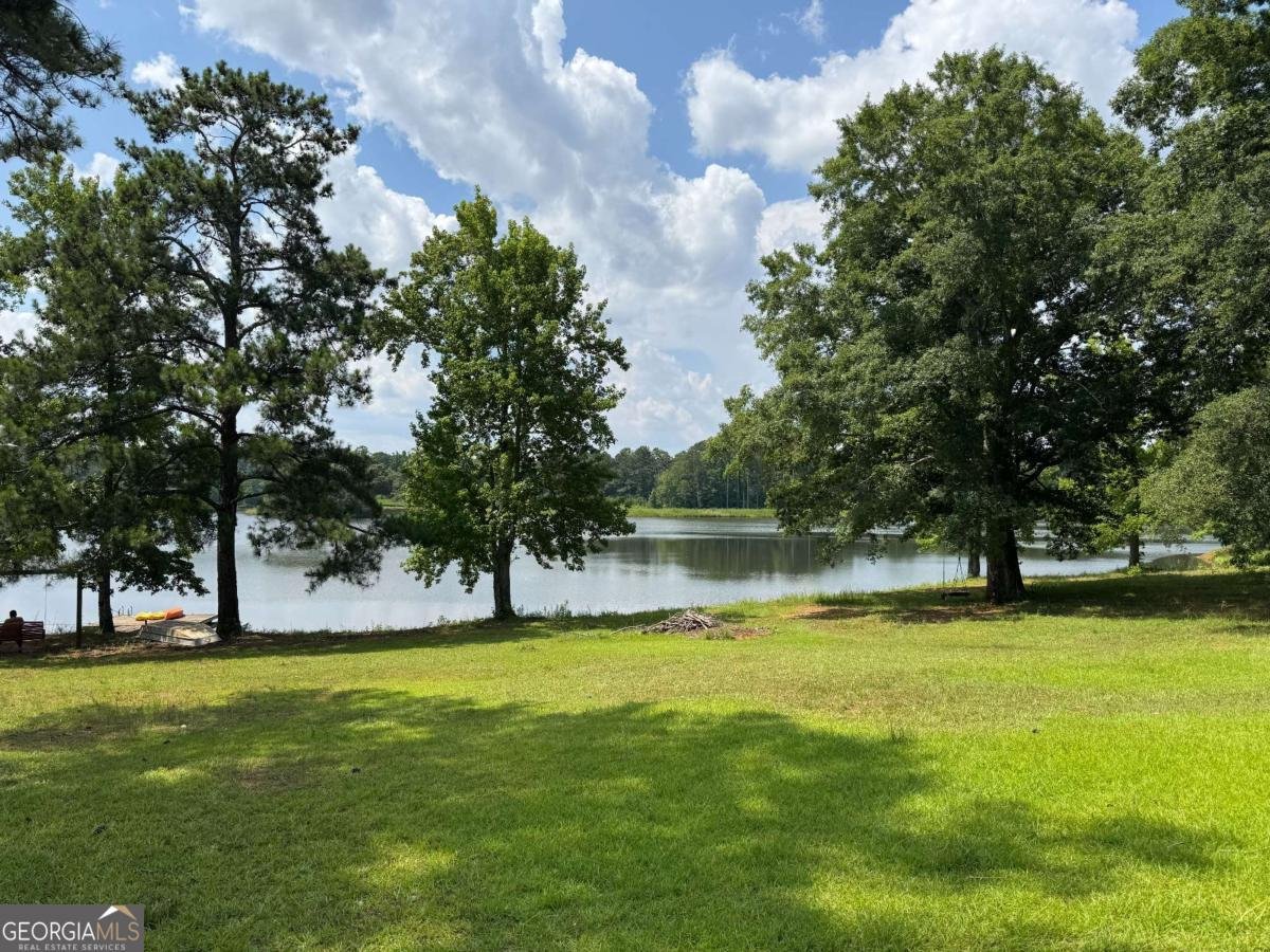 1189 Iris Lake Road Mcdonough - Photo 74
