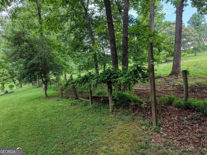107 Warners Way Blairsville - Photo 37