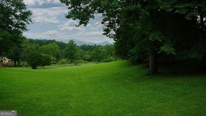 107 Warners Way Blairsville - Photo 40