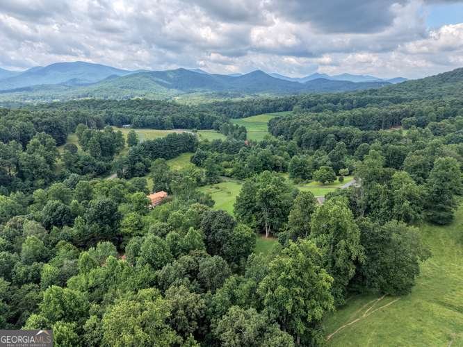 107 Warners Way Blairsville - Photo 42