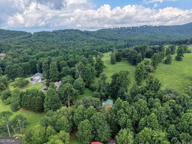 107 Warners Way Blairsville - Photo 43