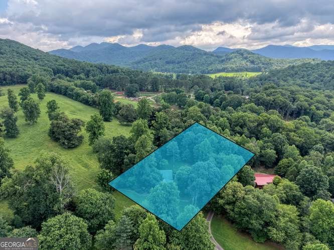 107 Warners Way Blairsville - Photo 45