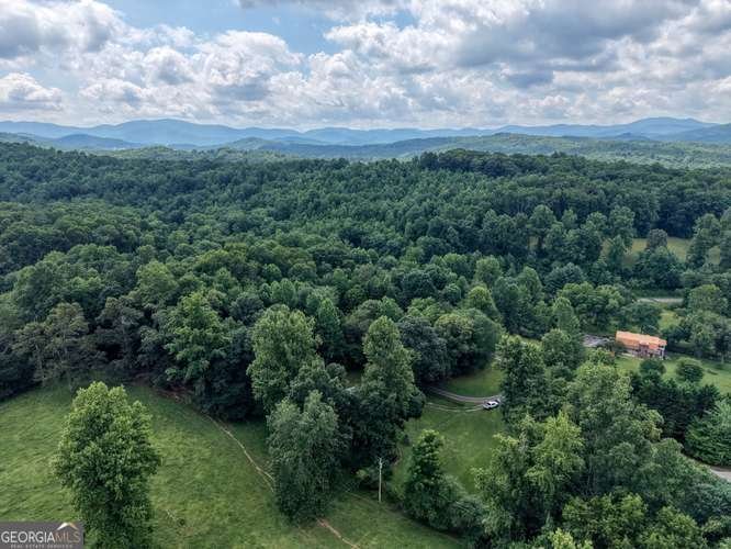 107 Warners Way Blairsville - Photo 46