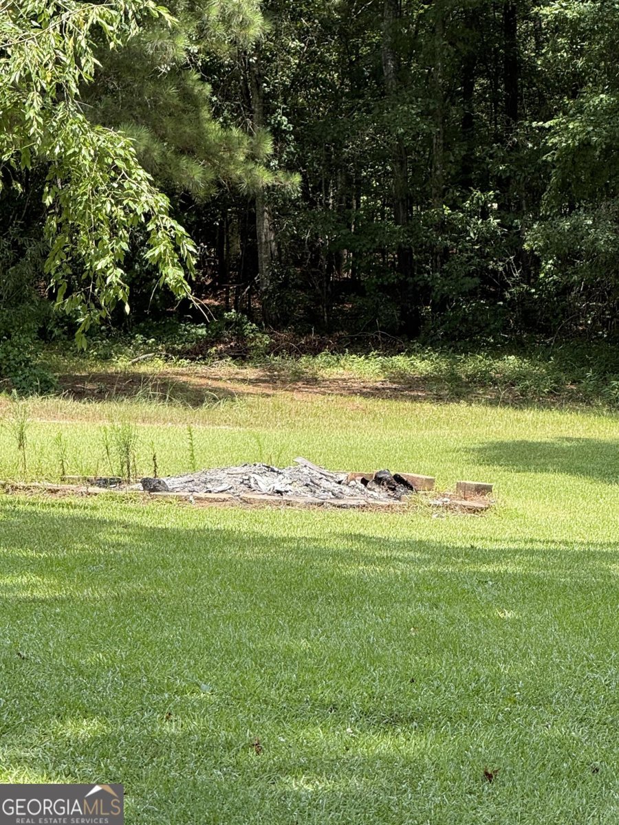435 Unity Grove Road Locust Grove - Photo 17