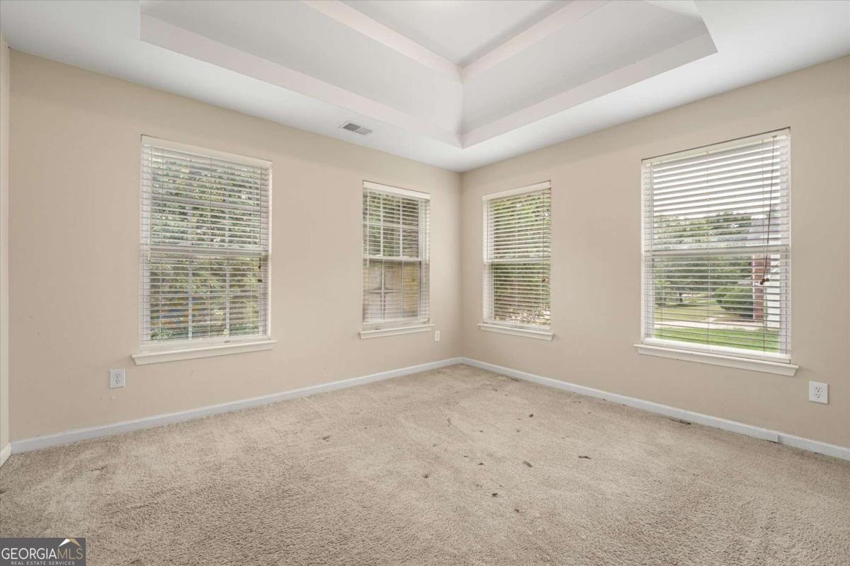 533 Trotters Lane Mcdonough - Photo 36