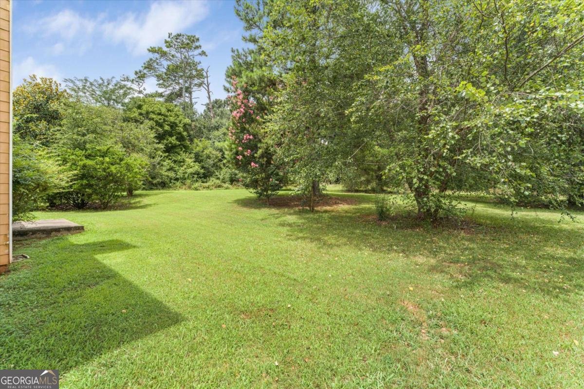 533 Trotters Lane Mcdonough - Photo 43