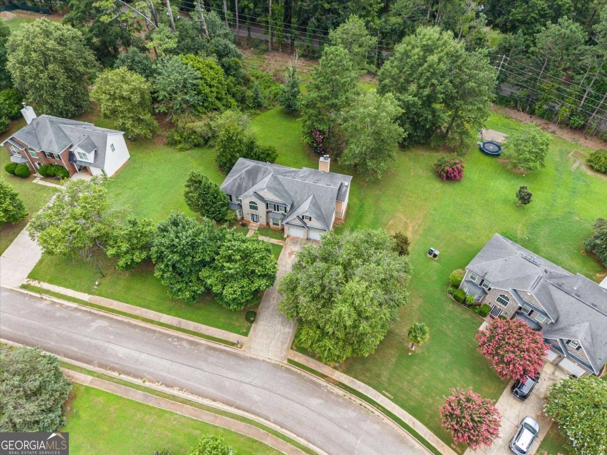 533 Trotters Lane Mcdonough - Photo 48
