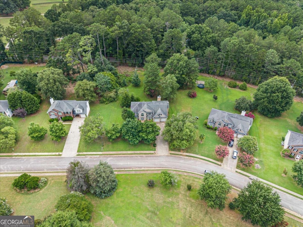 533 Trotters Lane Mcdonough - Photo 51