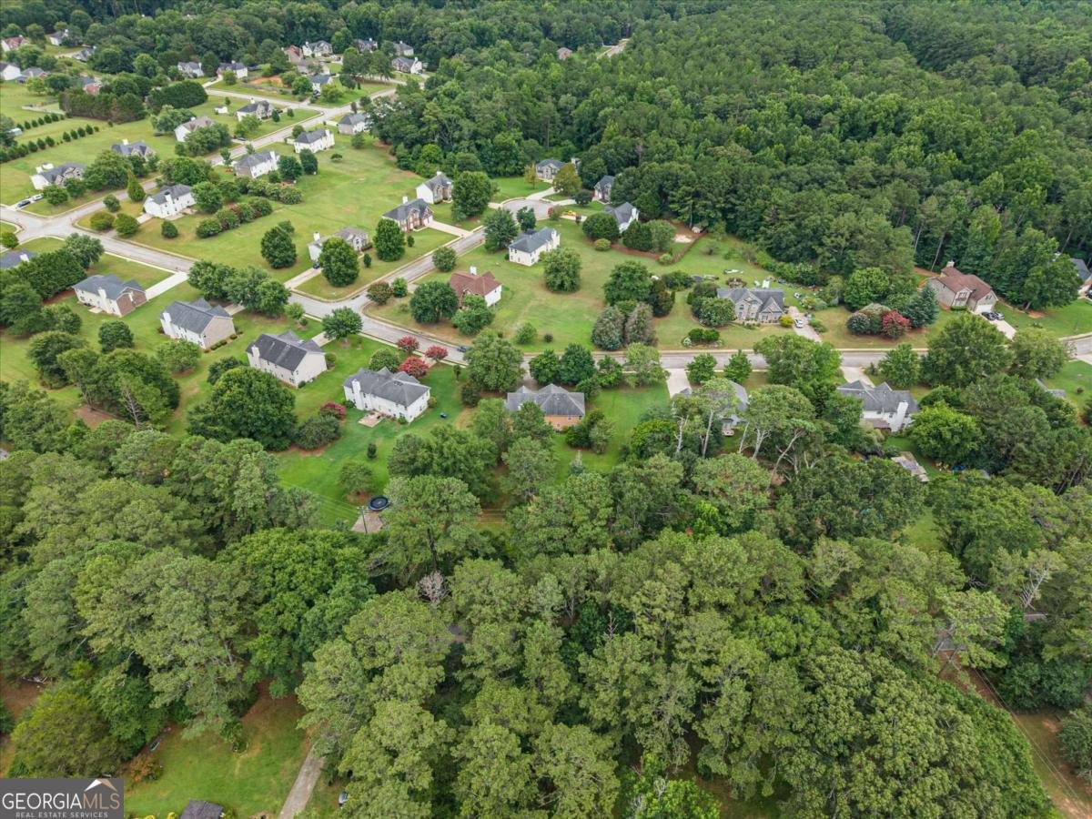 533 Trotters Lane Mcdonough - Photo 52