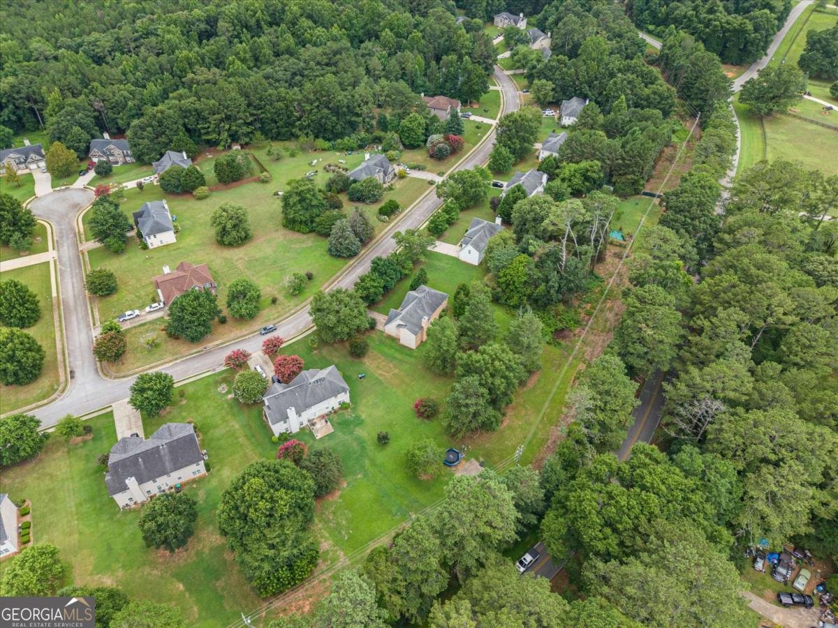 533 Trotters Lane Mcdonough - Photo 53
