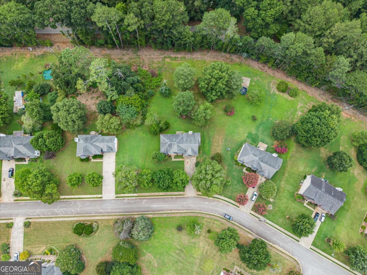 533 Trotters Lane Mcdonough - Photo 54