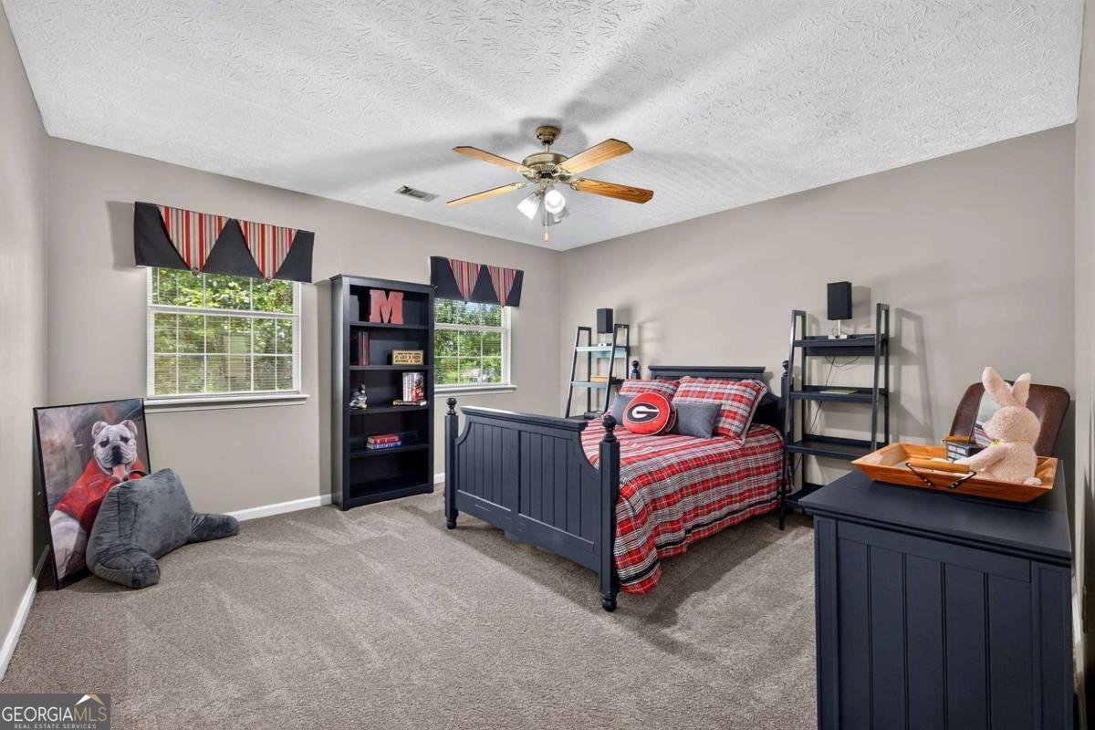 381 Country Lake Drive Mcdonough - Photo 30