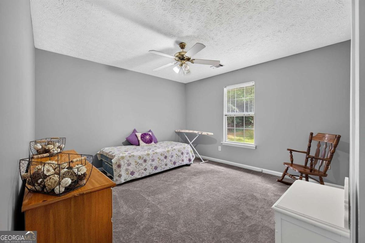 381 Country Lake Drive Mcdonough - Photo 32
