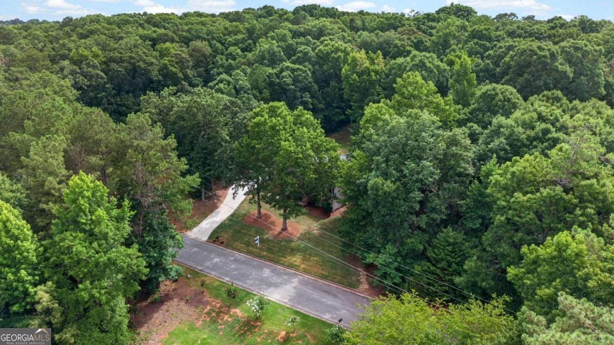 381 Country Lake Drive Mcdonough - Photo 40