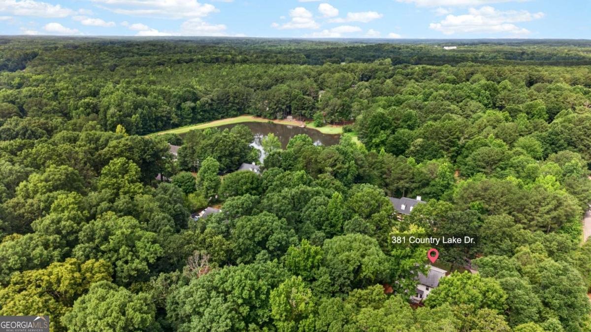 381 Country Lake Drive Mcdonough - Photo 41