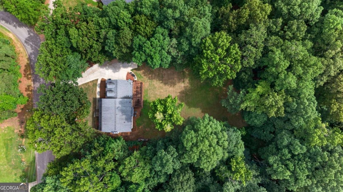 381 Country Lake Drive Mcdonough - Photo 42