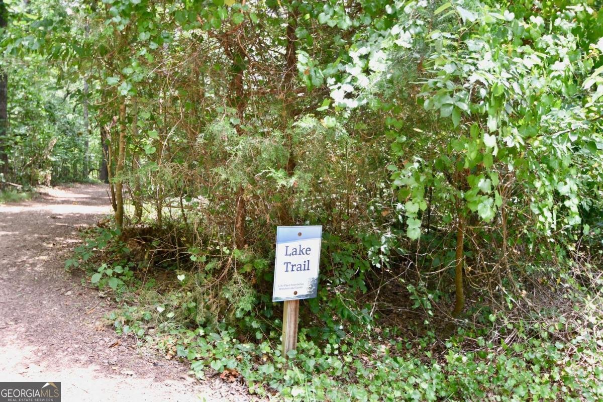 257 Lake Place Drive Lavonia - Photo 41